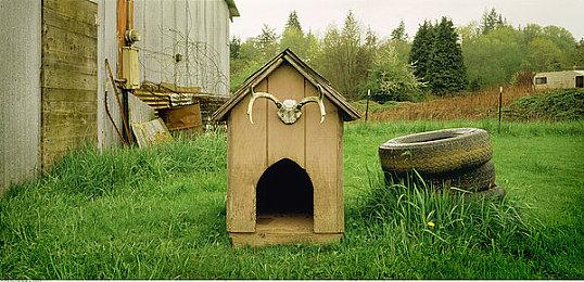 亚马逊雨林求生游戏《绿色地狱VR》将支持PSVR2